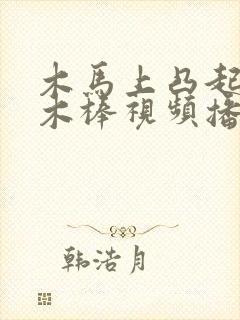 木马上凸起电动木棒视频播放