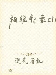 相亲对象c1v1