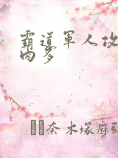 霸道军人攻现代肉多