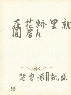 在花轿里就开始圆房h