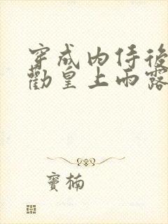 穿成内侍后总在劝皇上雨露均沾