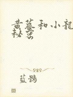 黄蓉和小龙女的秘密