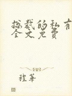 总裁的私有宝贝全文免费