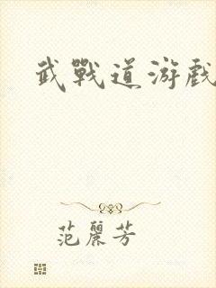 武战道游戏