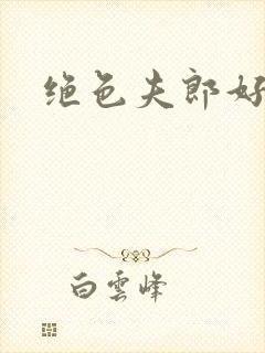 绝色夫郎好难缠