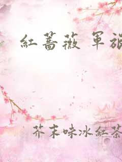 红蔷薇 军旅文