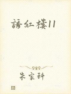 诱红楼11