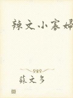 辣文小寡妇