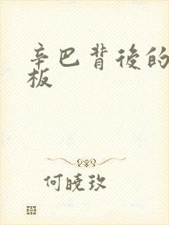 辛巴背后的人老板