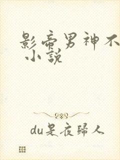 影帝男神不节制 小说