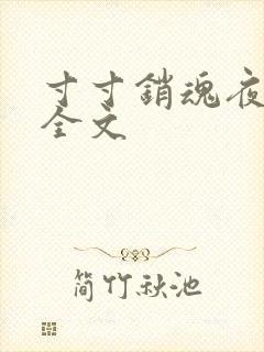 寸寸销魂夜春光全文