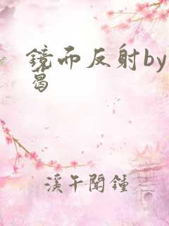 镜面反射by九葛