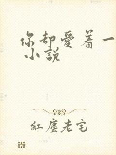 你却爱着一个他 小说