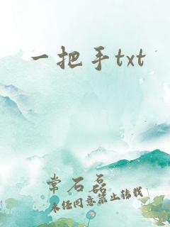 一把手txt