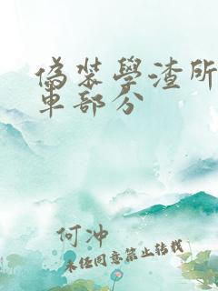 伪装学渣所有开车部分