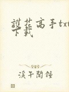 护花高手txt下载