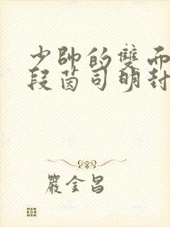 少帅的双面宠妻段茵司明封免费