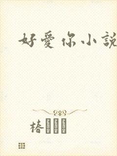 好爱你小说