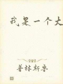 我是一个大盗贼
