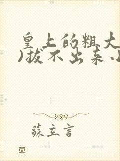 皇上的粗大(h)拔不出来小说