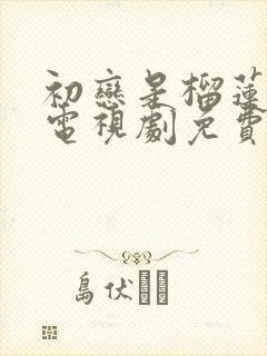 初恋是榴莲先生电视剧免费观看