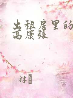 出租房里的交互高康张