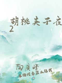 胡桃夹子夜未眠2