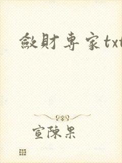 敛财专家txt