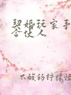 契婚玩家手册之合伙人