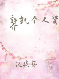 许凯个人资料简介