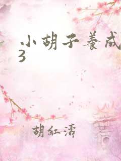 小胡子养成计划3