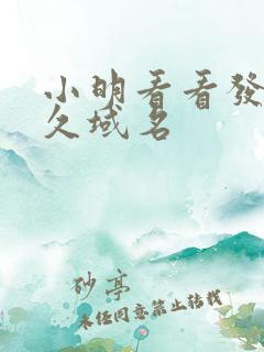 小明看看发布永久域名