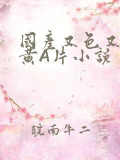 国产又色又爽又黄A片小说