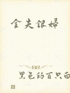 金夫银妇