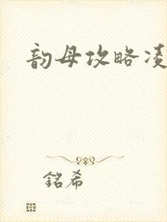 韵母攻略凌小东