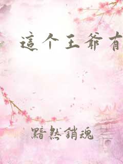 这个王爷有点坏