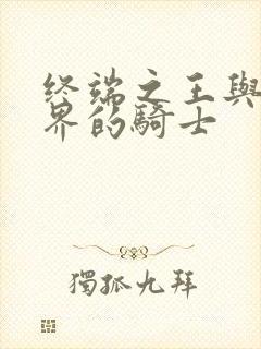 终端之王与异世界的骑士