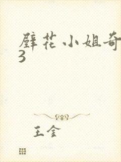 壁花小姐奇遇记3