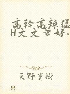高干高辣猛高辣H文文笔好小说