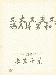 又大又爽又黄无码A片男和男