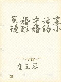 军婚守活寡重生后离婚的小说