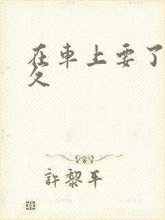 在车上要了我很久