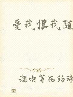 爱我恨我随便你