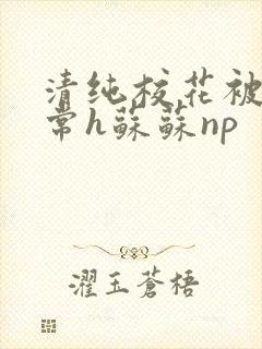 清纯校花被脔日常h苏苏np