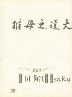 推母之道大结局