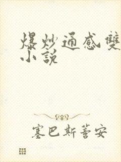 爆炒通感双胞胎小说