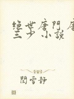 绝世唐门 唐家三少 小说