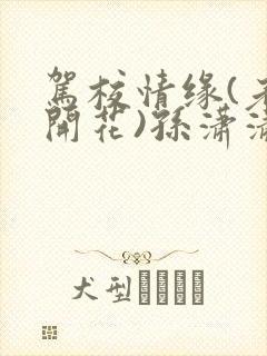 驾校情缘(老树开花)孙潇潇第一次趣笔阁