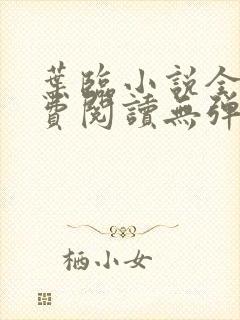 叶临小说全文免费阅读无弹窗