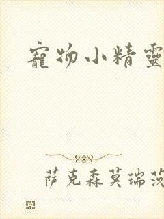 宠物小精灵漫画